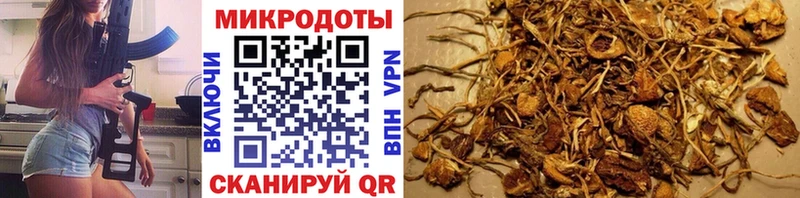 Псилоцибиновые грибы прущие грибы Мезень